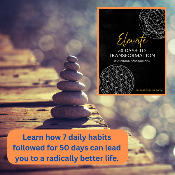 Elevate: 50 Days to Transformation Workbook + Journal