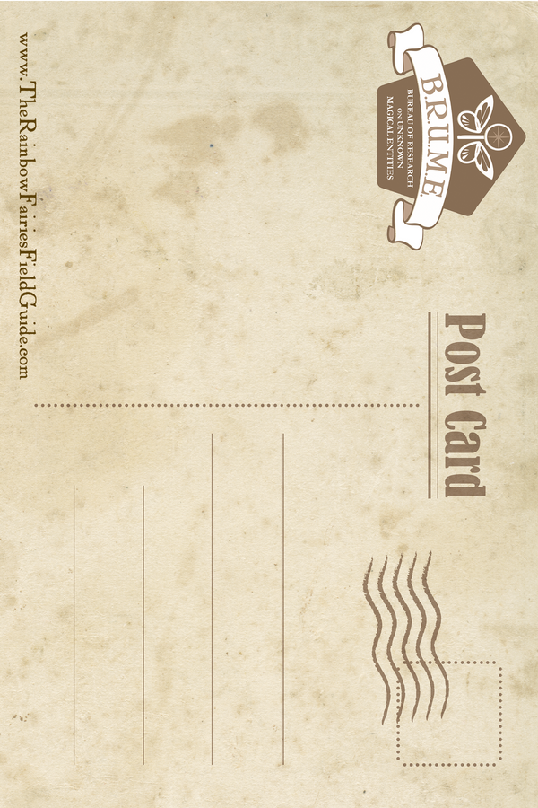 Set of 7 Postcards