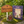 Rainbow Fairies: a Field Guide PLUS Fairy Door and Garden sign